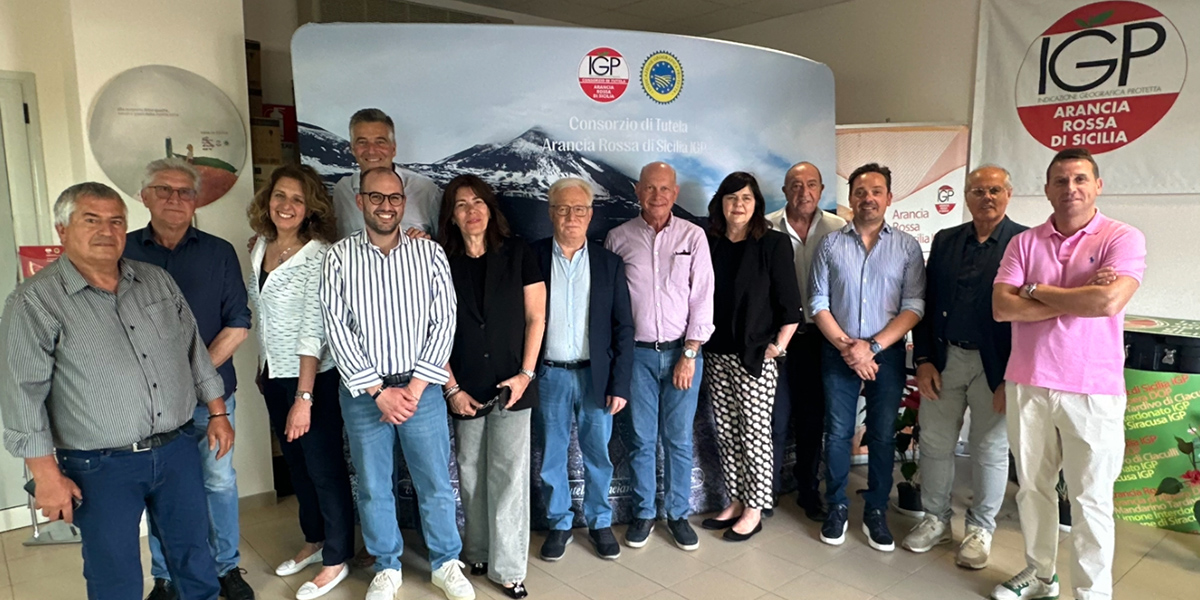 Gerardo Diana confermato alla guida del Consorzio Arancia Rossa di Sicilia IGP